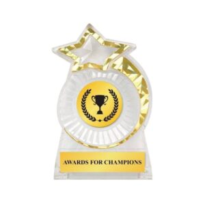 Economy Plaque 18089 Clear Gold