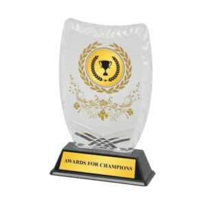 Acrylic Plaque 61816 Clear Gold