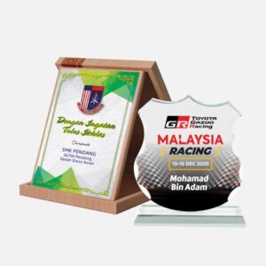 Plaques