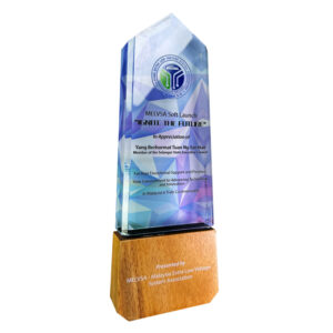 Wooden Trophy 7522
