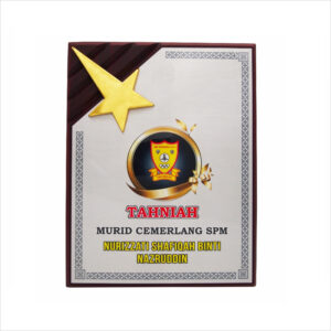 Wooden Plaque With Gold Star 7087