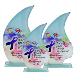 Exclusive Crystal Glass Awards 8224