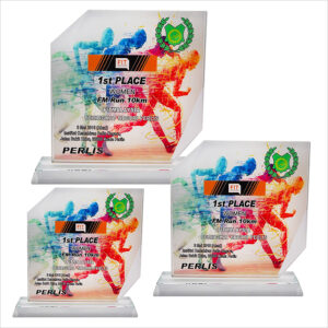 Exclusive Crystal Glass Awards 8285