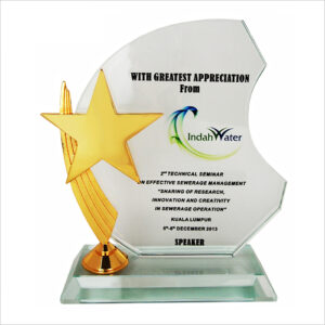 Exclusive Crystal Star Plaque 3026