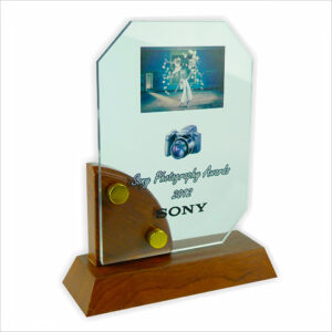 Exclusive Wooden Crystal Plaque 3008