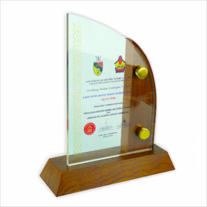 Exclusive Crystal Plaque 3006