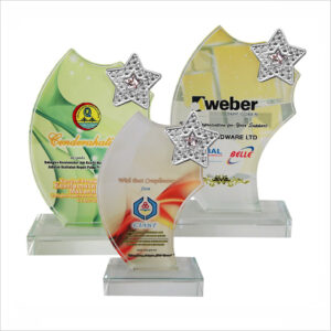 Exclusive Crystal Glass Star Awards 8198