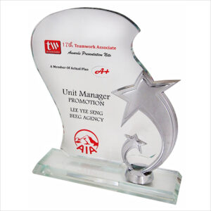 Exclusive Crystal Star Plaque 3052