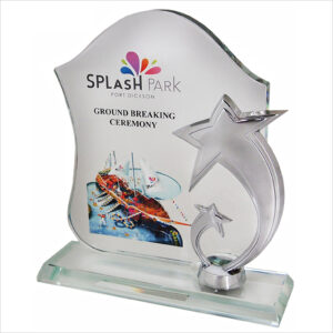 Exclusive Crystal Star Plaque 3055